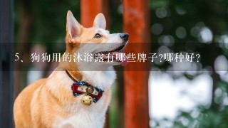 狗狗用的沐浴露有哪些牌子?哪种好？