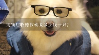 宠物店收德牧幼犬多少钱一只？