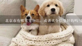 北京市有哪家宠物店，或者犬舍信誉好的吗?我很想买一只纯种萨摩耶的幼犬，