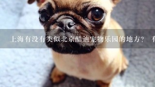 上海有没有类似北京酷迪宠物乐园的地方？ 有狗狗游