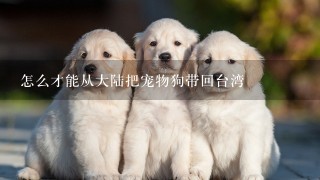 怎么才能从大陆把宠物狗带回台湾