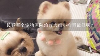 长春哪个宠物医院治疗犬细小病毒最好啊？