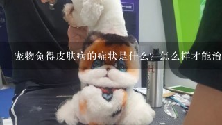 宠物兔得皮肤病的症状是什么？怎么样才能治愈？