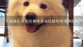 上海徐汇区有给猫咪看病比较好的宠物医院吗？