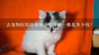 去宠物医院给狗狗治疗耳螨一搬花多少钱?