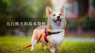 大白熊犬的基本资料