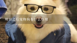 明日之后宠物狗有什么作用