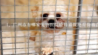 广州市有哪家宠物医院给母猫做绝育价格合理又安全的