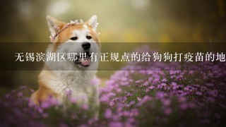 无锡滨湖区哪里有正规点的给狗狗打疫苗的地方啊？