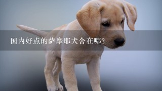 国内好点的萨摩耶犬舍在哪？