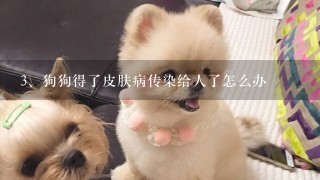 狗狗得了皮肤病传染给人了怎么办