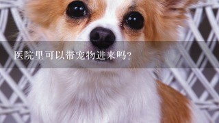 医院里可以带宠物进来吗？