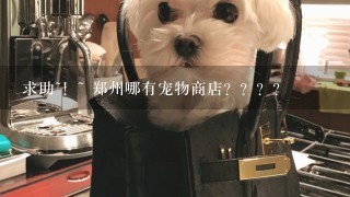 求助~！~ 郑州哪有宠物商店？？？？