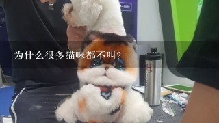 为什么很多猫咪都不叫？