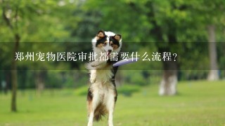 郑州宠物医院审批都需要什么流程？