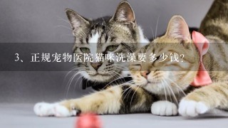 正规宠物医院猫咪洗澡要多少钱?