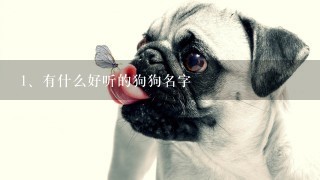 有什么好听的狗狗名字