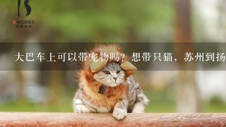 大巴车上可以带宠物吗？想带只猫，苏州到扬州