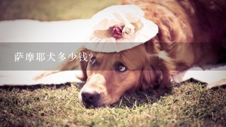 萨摩耶犬多少钱？