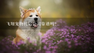 飞翔宠物托运公司靠谱吗?