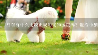 启东有什么比较正规的宠物医院吗？能给小猫绝育的那种？