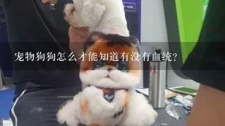 宠物狗狗怎么才能知道有没有血统？