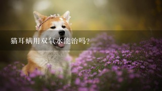 猫耳螨用双氧水能治吗？