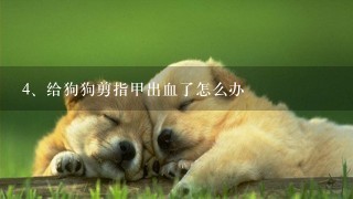 给狗狗剪指甲出血了怎么办