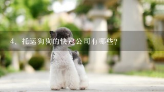 托运狗狗的快递公司有哪些?