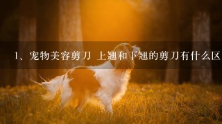 宠物美容剪刀 上翘和下翘的剪刀有什么区别