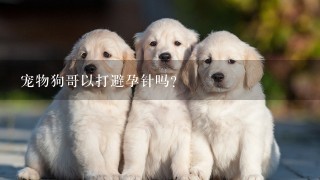 宠物狗哥以打避孕针吗？