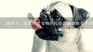 请问下，北京博爱宠物医院给公狗做绝育手术做的好吗?我家是只哈士奇4岁了，因为太闹了，想给他做绝育，