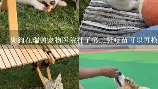 狗狗在瑞鹏宠物医院打了第二针疫苗可以再换一个地方打吗，因为工作原因，换个也是同样的分院，可以吧？