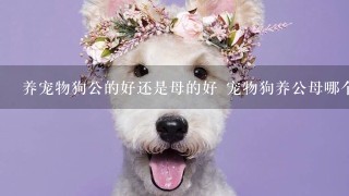 养宠物狗公的好还是母的好 宠物狗养公母哪个呢