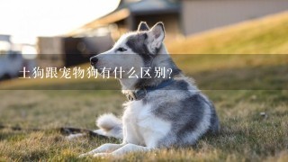 土狗跟宠物狗有什么区别？