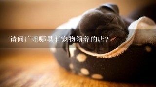 请问广州哪里有宠物领养的店？