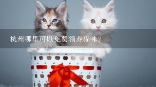 杭州哪里可以免费领养猫咪？