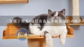 三年级下册第4篇昆虫备忘录独角仙的动物名称是什么？