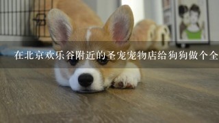 在北京欢乐谷附近的圣宠宠物店给狗狗做个全套的服务需要多少钱啊