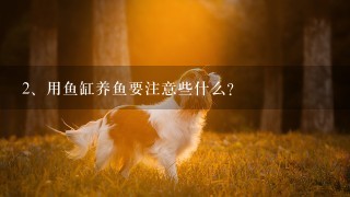 用鱼缸养鱼要注意些什么？