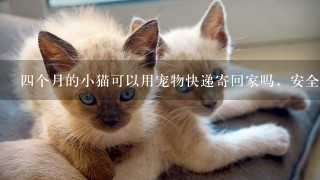 四个月的小猫可以用宠物快递寄回家吗，安全吗，大概的多少钱？