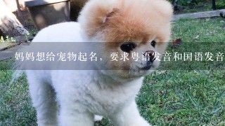 妈妈想给宠物起名，要求粤语发音和国语发音一样，有什么字是这样的？