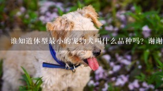 谁知道体型最小的宠物犬叫什么品种吗？谢谢！