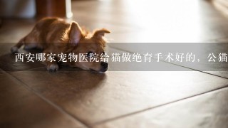 西安哪家宠物医院给猫做绝育手术好的，公猫