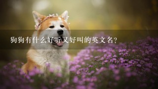 狗狗有什么好听又好叫的英文名？