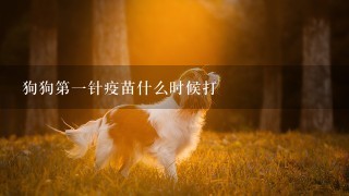 狗狗第一针疫苗什么时候打