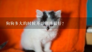 狗狗多大的时候开始训练最好？