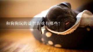 和狗狗玩的益智游戏有哪些？