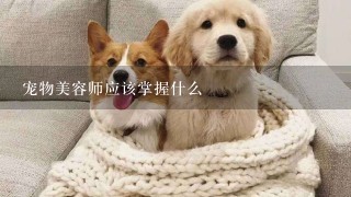 宠物美容师应该掌握什么