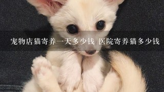 宠物店猫寄养一天多少钱 医院寄养猫多少钱